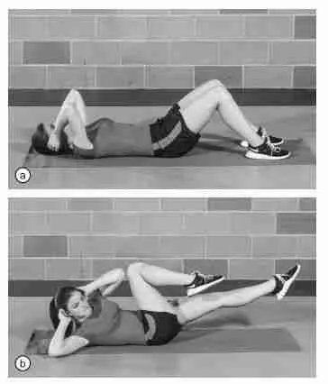 Core training with the help of Elbows and Knees